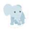 Cute Baby Elephant