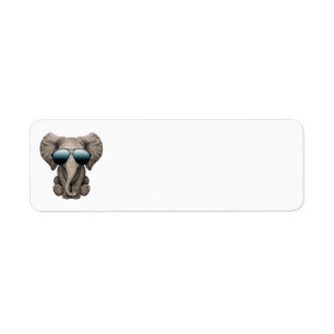 Cute Baby Elephant Wearing Sunglasses