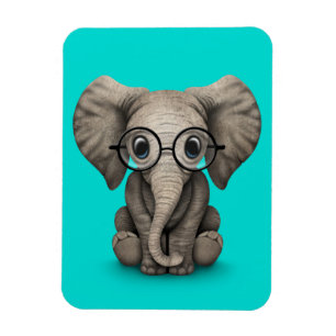 Cute Baby Elephant with Reading Glasses Blue Magnet