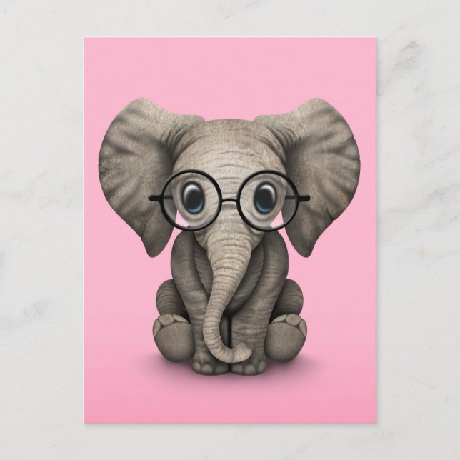 Cute Baby Elephant with Reading Glasses Pink Postcard (Front)