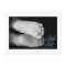 Cute Baby Feet Blue Baby