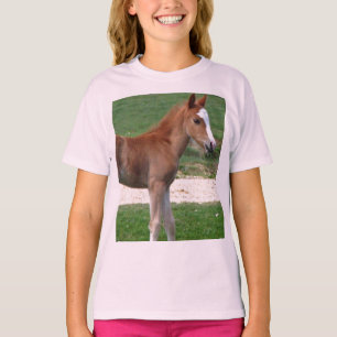 Cute Baby Foal Destiny Gifts Springtime Adorable T-Shirt