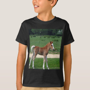 Cute Baby Foal Destiny Gifts Springtime Adorable T-Shirt