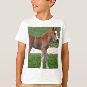 Cute Baby Foal Destiny Gifts Springtime Adorable T-Shirt