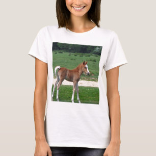 Cute Baby Foal Destiny Gifts Springtime Adorable T-Shirt