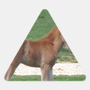 Cute Baby Foal Destiny Gifts Springtime Adorable Triangle Sticker