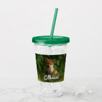 Cute Baby Fox in a Green Forest