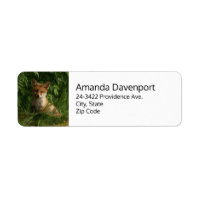 Cute Baby Fox in a Green Forest Address