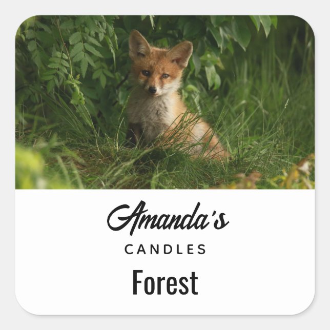  Cute Baby Fox in a Green Forest Candle Business Square Sticker (Front)