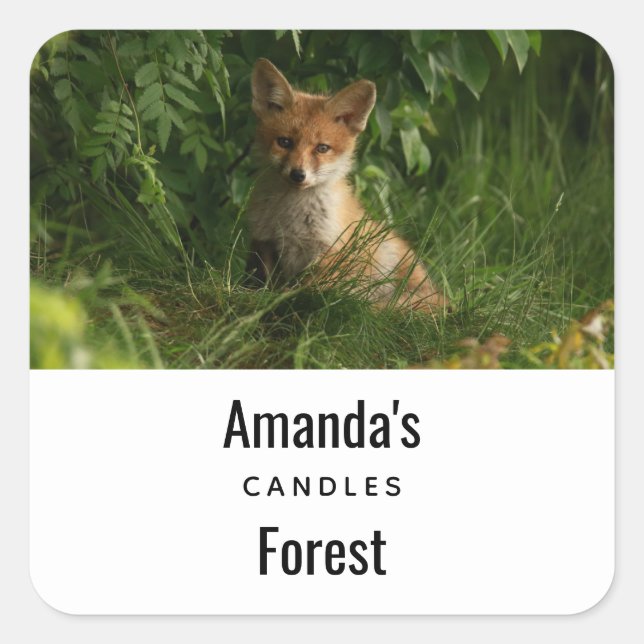  Cute Baby Fox in a Green Forest Candle Business Square Sticker (Front)