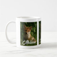 Cute Baby Fox in a Green Forest