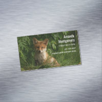 Cute Baby Fox in a Green Forest