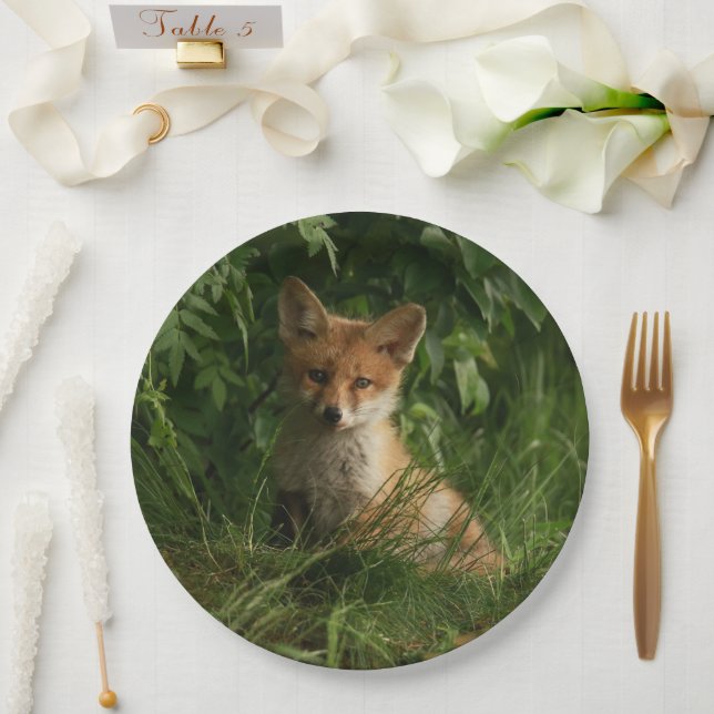Cute Baby Fox in a Green Forest Paper Plate (Wedding)