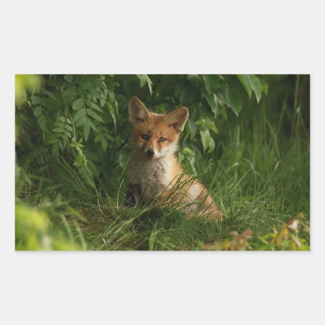 Cute Baby Fox in a Green Forest Rectangular Sticker (Front)