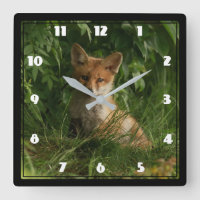 Cute Baby Fox in a Green Forest