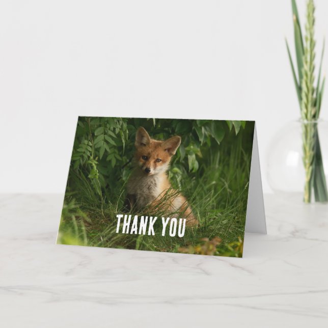 Cute Baby Fox in a Green Forest Thank You Card (Front)