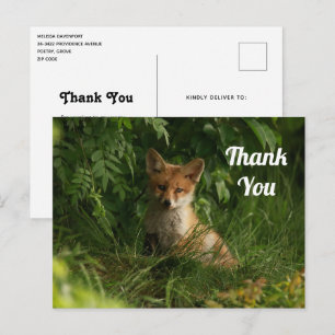 Cute Baby Fox in a Green Forest Thank You Postcard