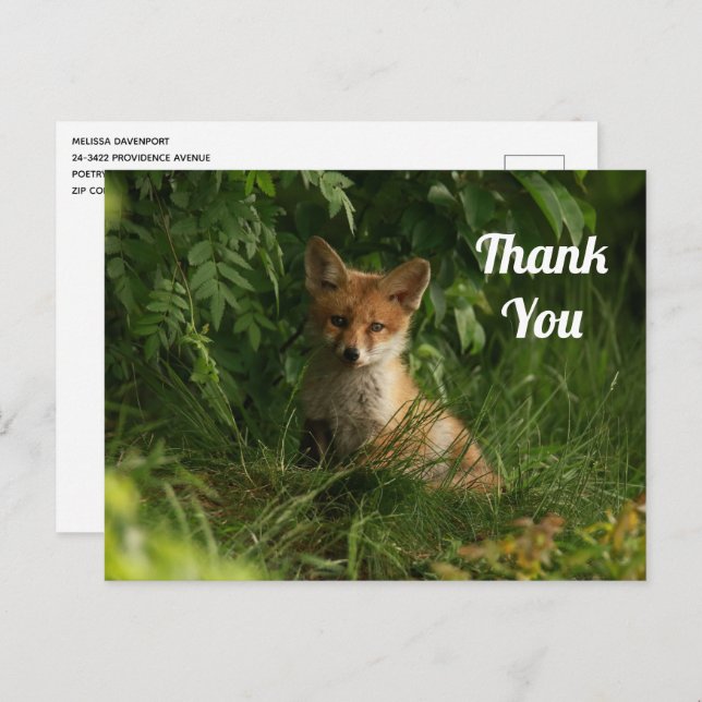 Cute Baby Fox in a Green Forest Thank You Postcard (Front/Back)