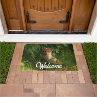 Cute Baby Fox in a Green Forest Welcome
