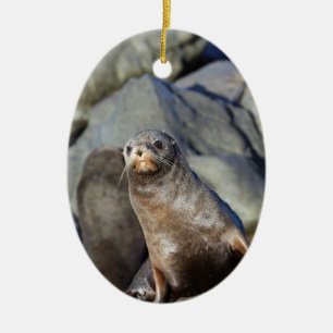 Cute baby fur seal Cape Palliser Ceramic Tree Decoration