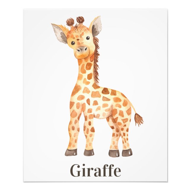 Cute Baby Giraffe Jungle Safari African Animal Photo Print (Front)