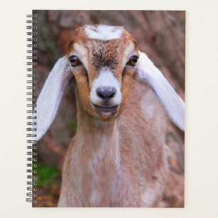 Cute Baby Goat Custom Planner