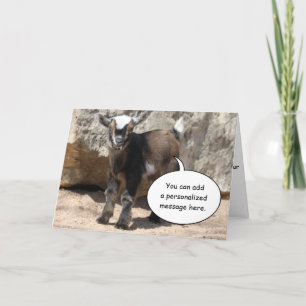 Cute Baby Goat Greeting Card