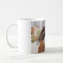 Cute Baby Goat Kitchen Tea & Coffee Mug