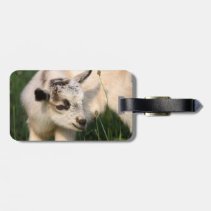 Cute Baby Goat Luggage Tag