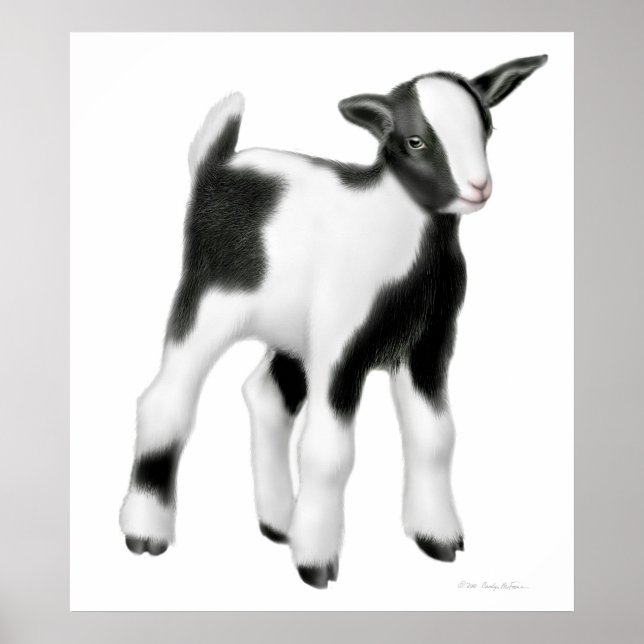 Cute Baby Goat Print (Front)