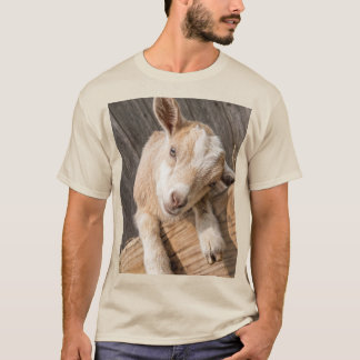 Cute Baby Goat Rustic Farmhouse Photography Canvas T-Shirt