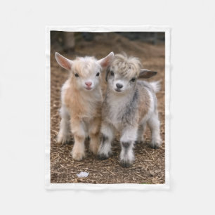 Cute Baby Goats Farm Animals Fleece Blanket