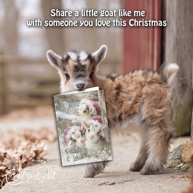 Cute Baby Goats - Snow Babies 10 Christmas Holiday Card (Creator Uploaded)