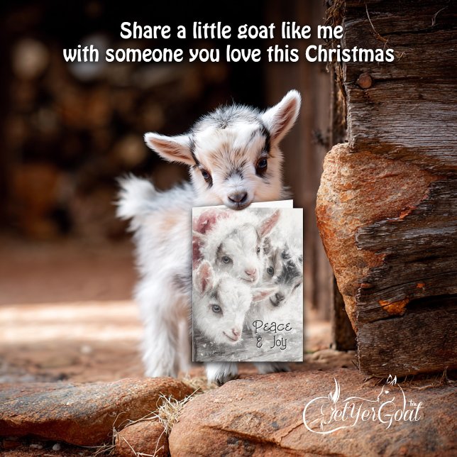 Cute Baby Goats - Snow Babies 4 Christmas Holiday Card (Creator Uploaded)