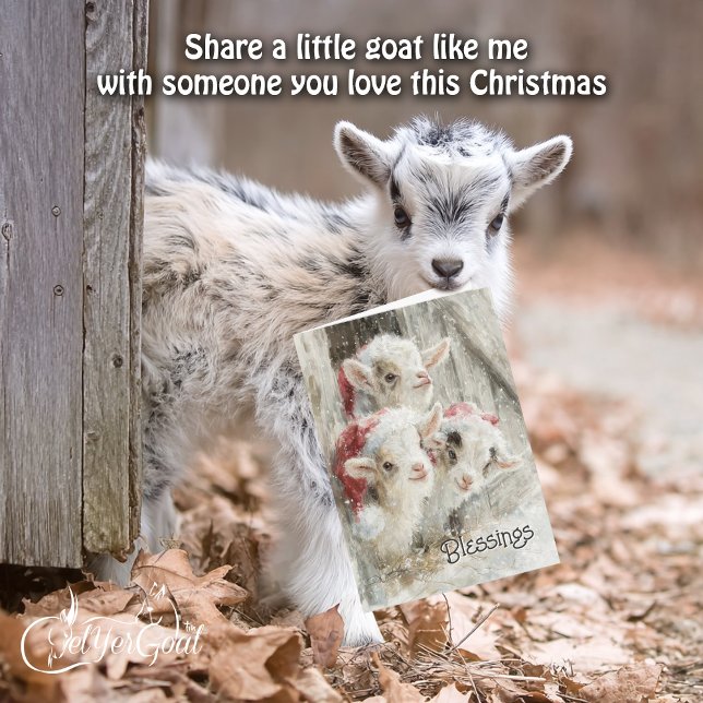 Cute Baby Goats - Snow Babies 9 Christmas Holiday Card (Creator Uploaded)