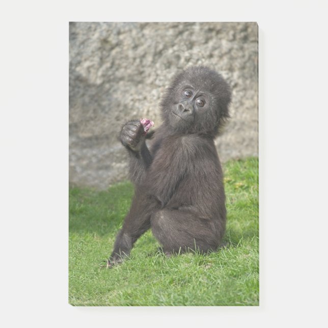 Cute Baby Gorilla Post-it Notes (Front)