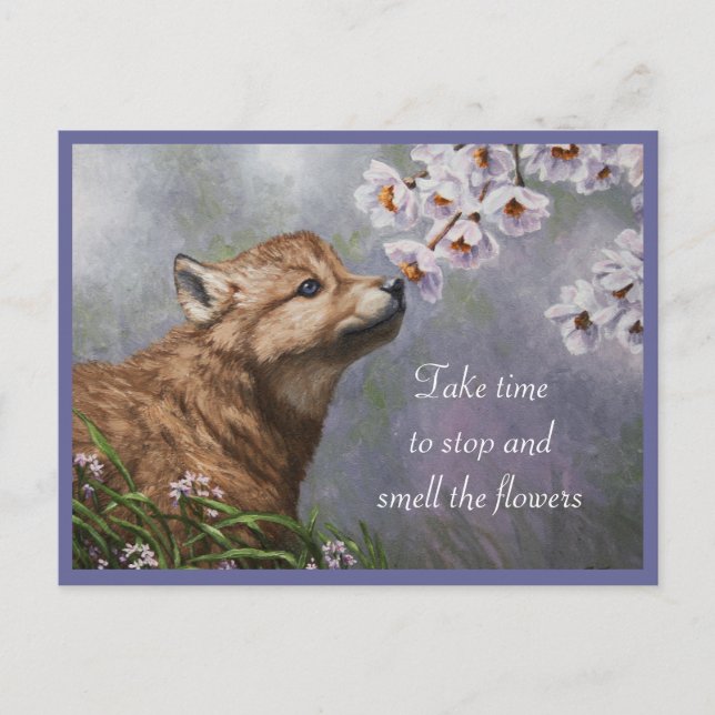 Cute Baby Gray Wolf Pup and Flowers Postcard (Front)