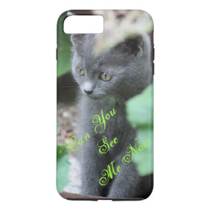 Cute Baby Grey Kitten iPhone Cover