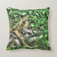 Cute Baby Grey Wolf Pup Wildlife Photo