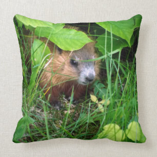 Cute Baby Groundhog Marmotte Murmeltier Cushion
