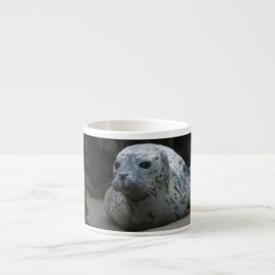 Cute Baby Harbour Seal looking up on  Beach Espresso Cup