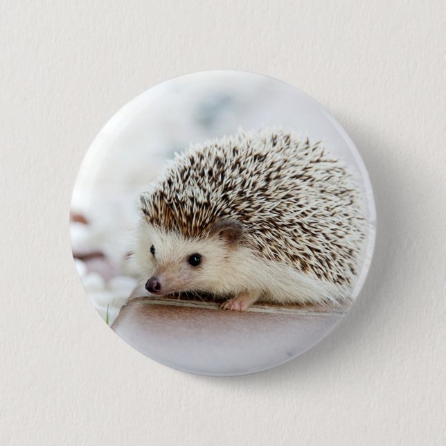 Cute Baby Hedgehog 6 Cm Round Badge (Front)