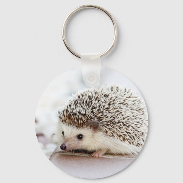 Cute Baby Hedgehog Animal Key Ring (Front)