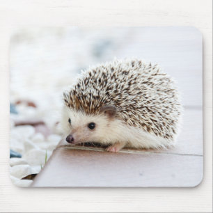 Cute Baby Hedgehog Animal Mouse Mat