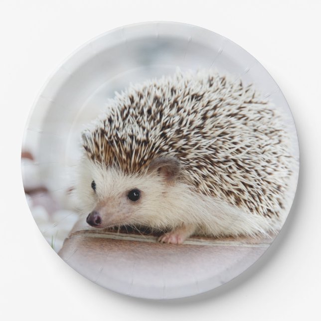 Cute Baby Hedgehog Animal Paper Plate (Front)