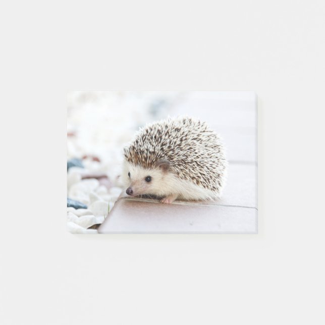Cute Baby Hedgehog Animal Post-it Notes (Front)