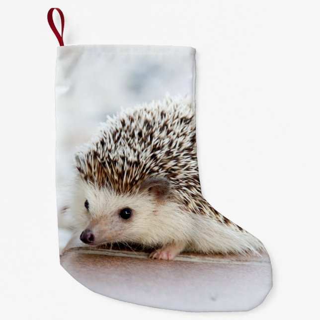 Cute Baby Hedgehog Animal Small Christmas Stocking (Front)
