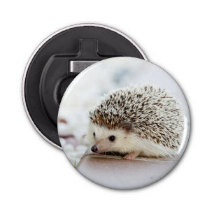 Cute Baby Hedgehog Bottle Opener