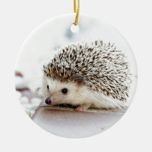 Cute Baby Hedgehog Ceramic Tree Decoration