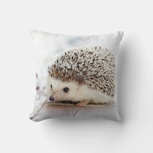 Cute Baby Hedgehog Cushion (Front)